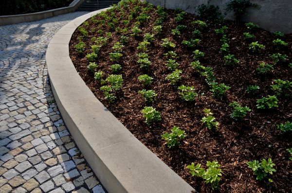 Retaining Wall Repair in Berkeley