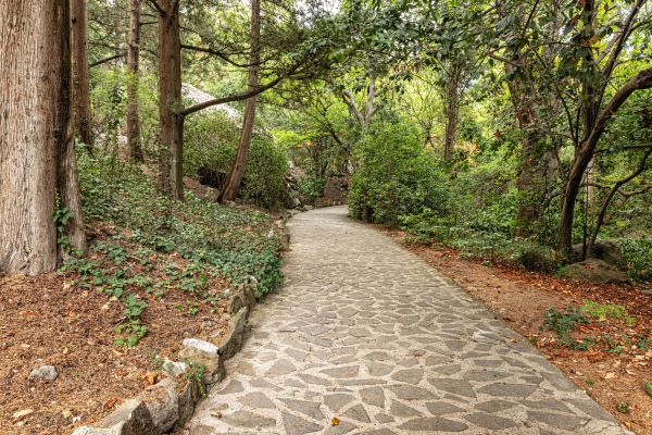 Stone Walkway Repair in Berkeley