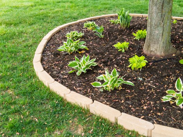 Stone Border Installation in Berkeley
