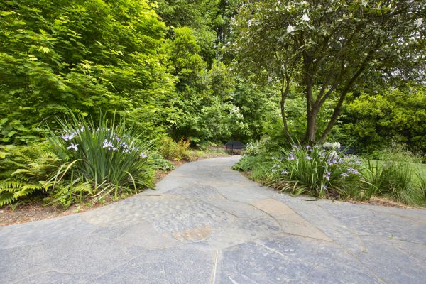 Stone Hardscape Service in Berkeley