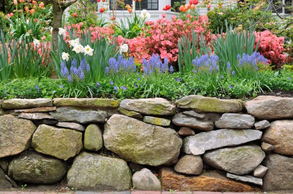 Garden Wall Installation in Berkeley