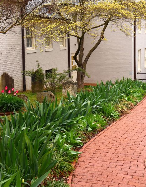 Brick Flatwork Repair in Berkeley
